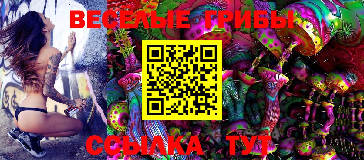 где найти   Гусиноозёрск  Галлюциногенные грибы Magic Shrooms 