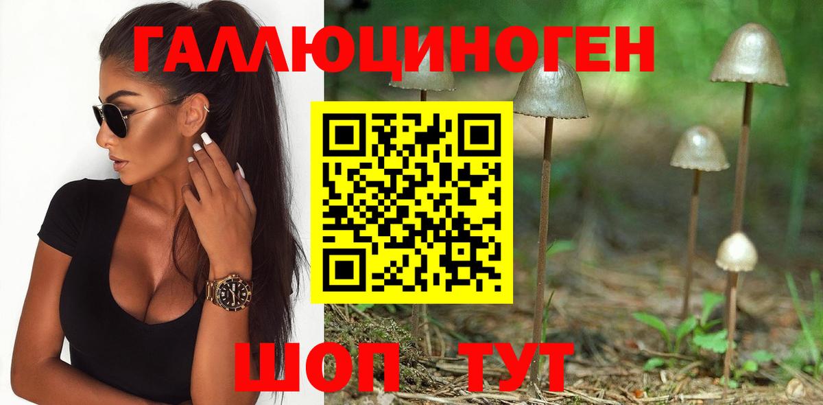 Галлюциногенные грибы мицелий Гусиноозёрск